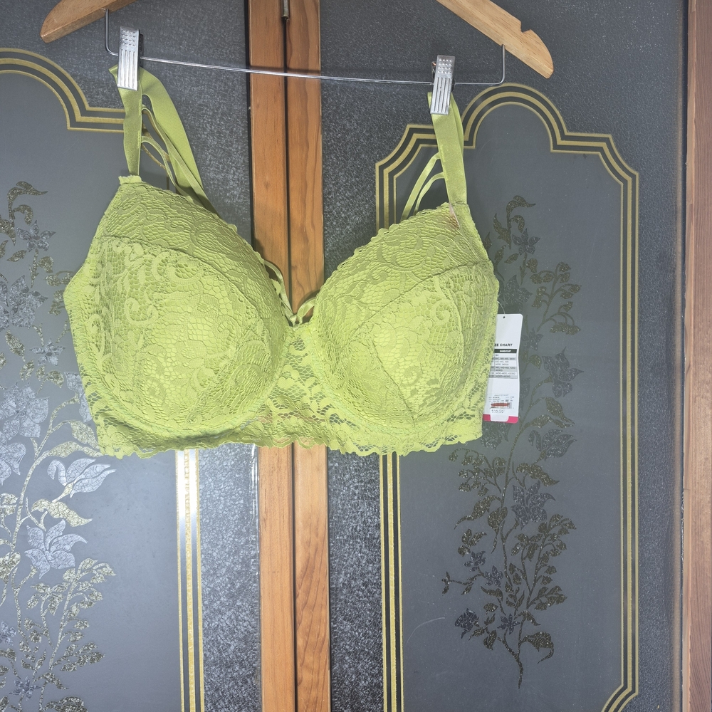 Ashley Stewart Lime Lace Bra